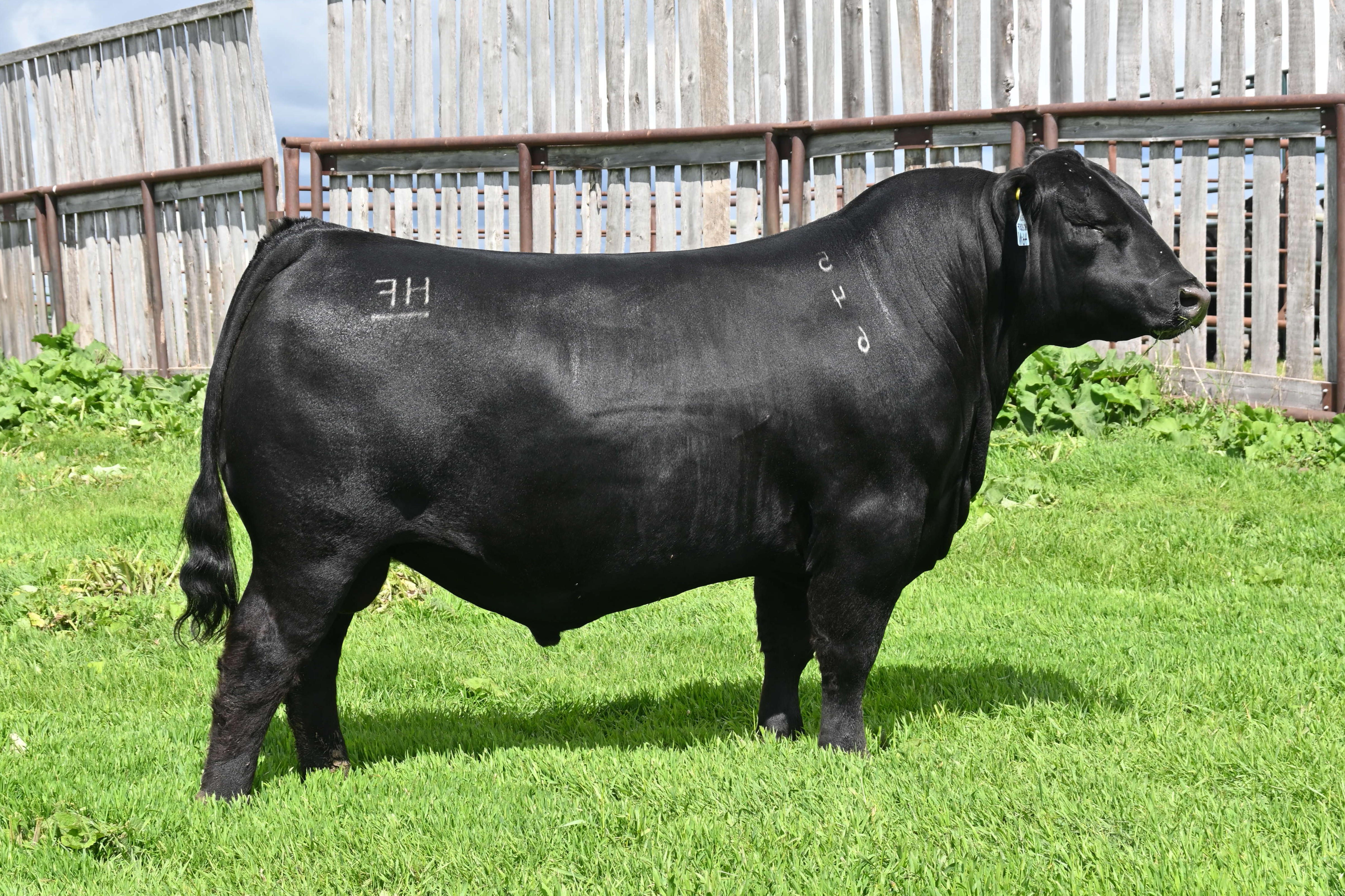 sire20